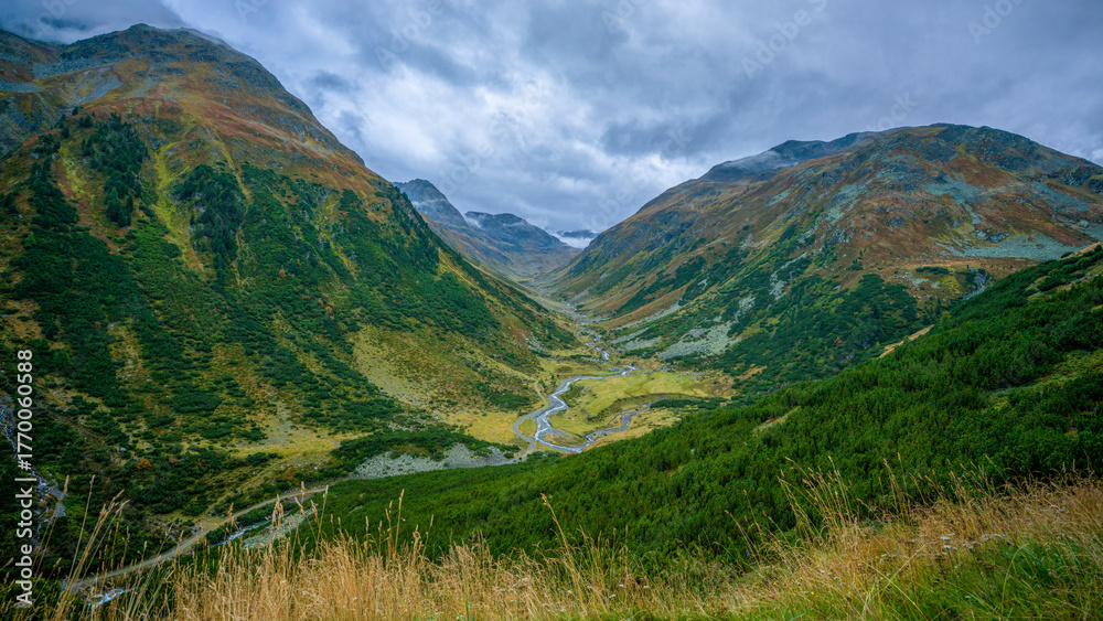 Naklejka premium Schweizer Nationalpark