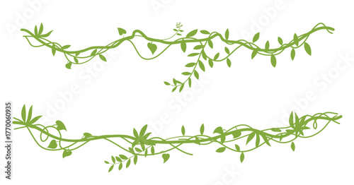 Green tropical liana with leaves, silhouette liana plant with moss