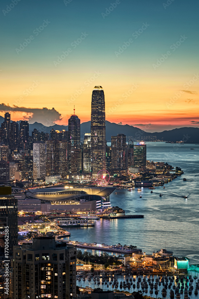 Fototapeta premium hong kong skyline at night