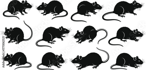 Rat silhouette vector collection, black rodent illustration, side profile poses, tail variations, animal icon set, pest clipart, wildlife graphic artwork