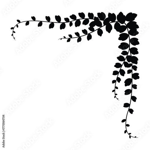 Creeper plant foliage Silhouette, Vector, Illustration