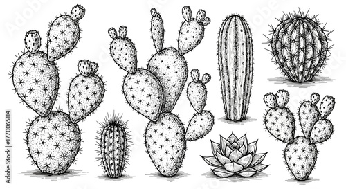 Detailed Hand-Drawn Prickly Pear Cactus Set - Vintage Botanical Ink Illustrationsayaeru 