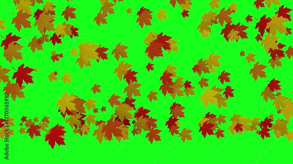 Falling autumn leaves animation with green screen background Stock ...