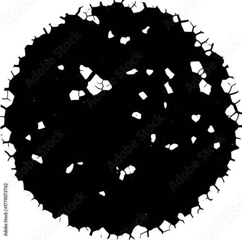 ancient map of life cells connect, forming a fragile boundary