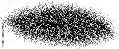 whispers of the forest floor, a mysterious organic growth