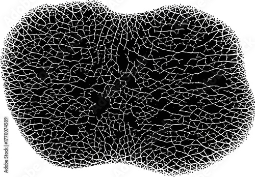 subterranean network dark form reveals complex organic pathways, interconnected life unveiled