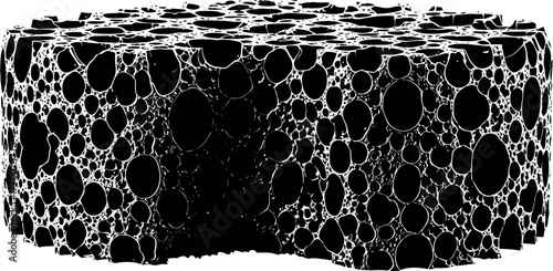 interconnected voids forming a resilient, intricate organic black architecture