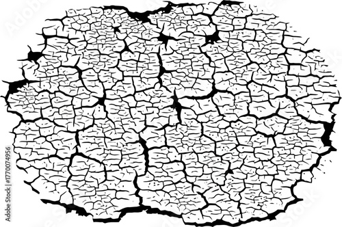 fragmented reality reveals lifes persistent struggle and fragile beauty