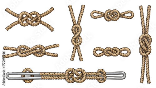 Knot illustrations