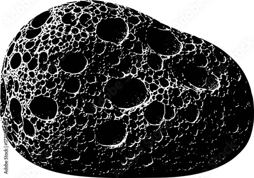 lunar gaze black rock contours whisper ancient universal mysteries