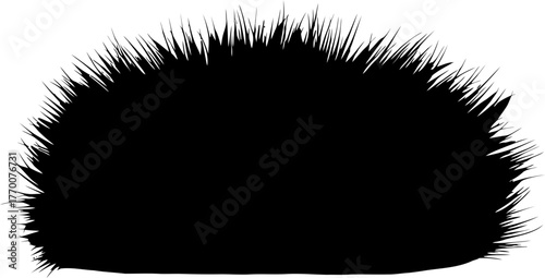 whispers of the wild a jagged, dark horizon of primal form