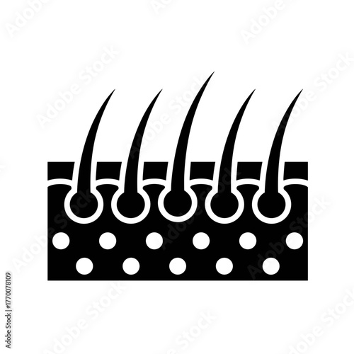 A simple diagram illustrating hair follicles in the skin, showing the hair shaft and skin layers clearly
