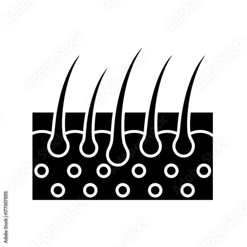 a detailed hair follicle diagram showing hair growth and skin layers for medical education and research use