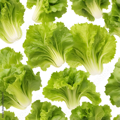 Seamless Pattern of Fresh Green Lettuce Heads on White Background