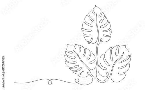 three monstera line art