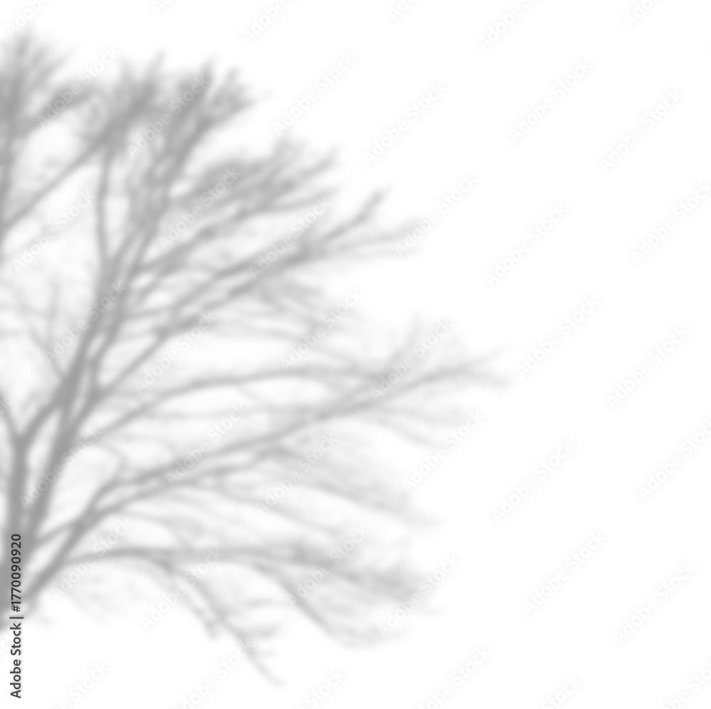 Fototapeta premium Detailed Tree Canopy Corner Shadow Overlay with Bare Branches