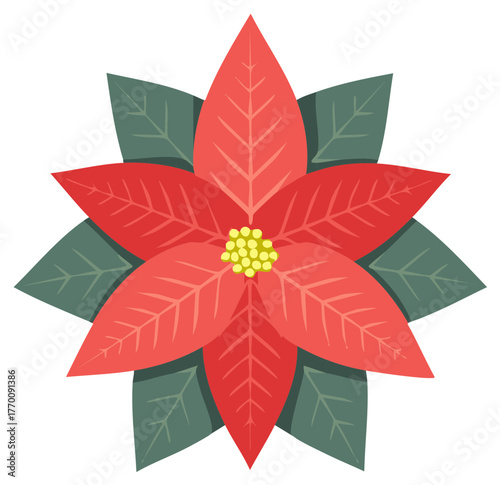 Stylized Red Poinsettia Flower with Green Leaves Festive Holiday Floral Illustration