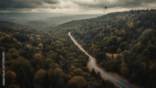 Aerial view of a winding road through a dense forest under a cloudy sky.