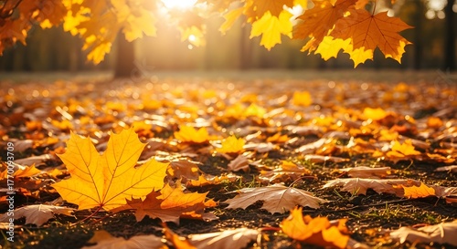 Golden autumn leaves falling on the ground with sunlight filtering through the trees, creating a warm and inviting atmosphere