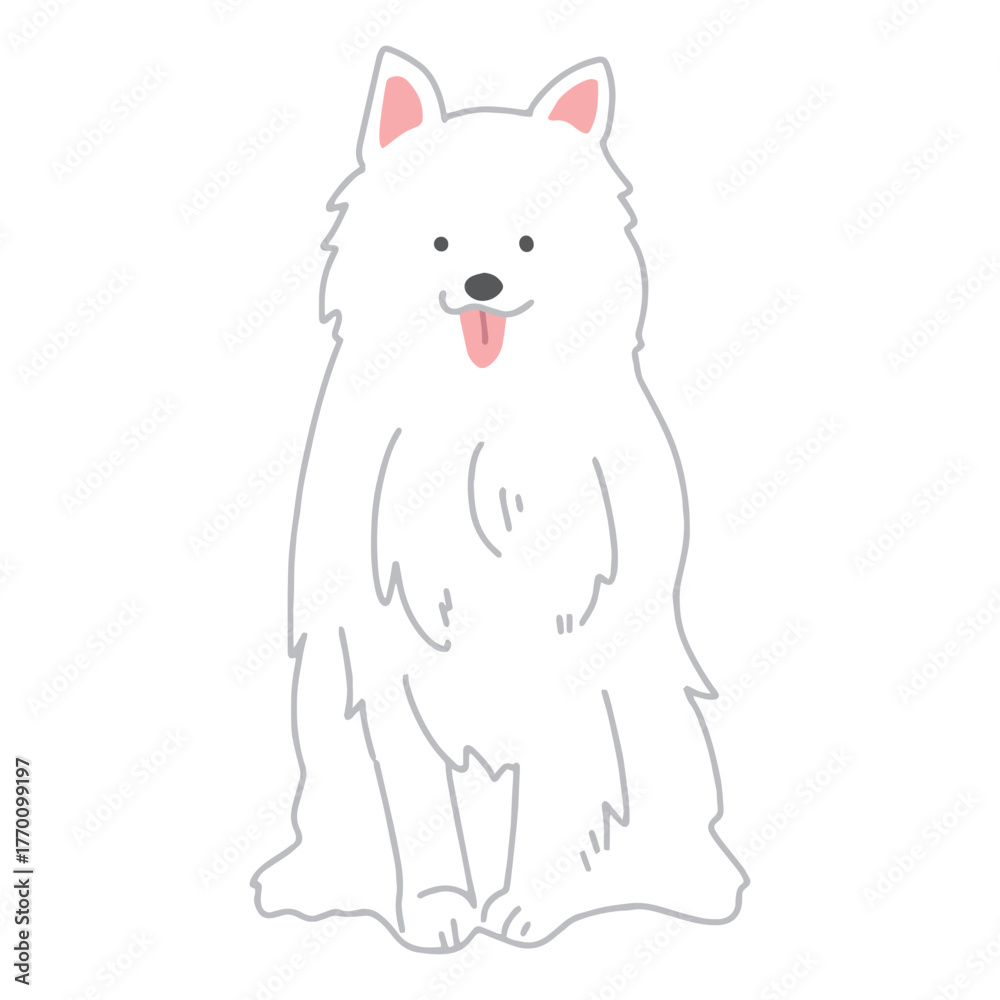 Obraz premium サモエド 手描き イラスト