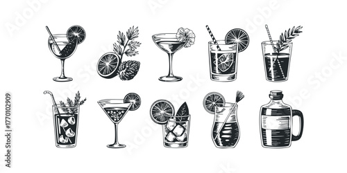 Collection of Hand Drawn Cocktails with Garnishes