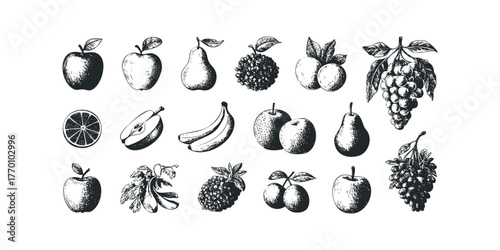 Black and white sketch collection of assorted fruits
