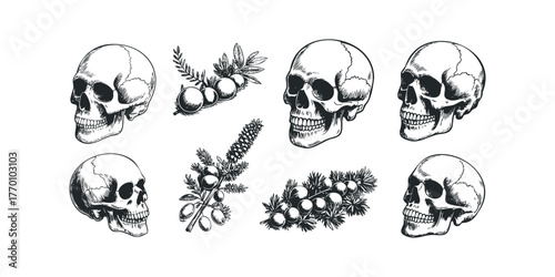 Collection of skeletal heads and botanical branches