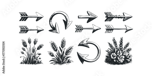 Hand Drawn Arrows and Botanical Elements Collection