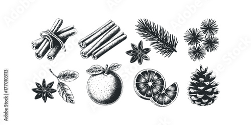 Winter seasonal ingredients drawing with cinnamon, orange, pine and anise