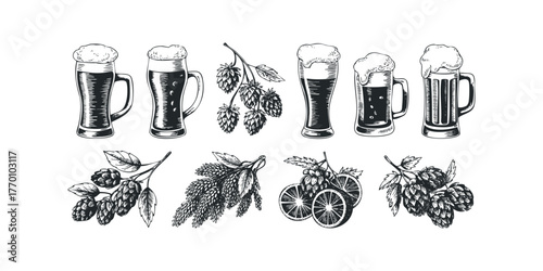 Beer Mug Collection with Hops and Citrus Slices