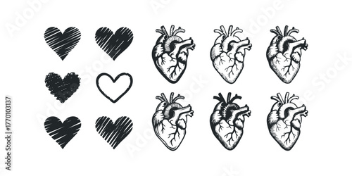 Anatomical Hearts and Hand Drawn Heart Shapes Collection