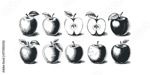 Collection of hand-drawn apples in various stages of ripeness and preparation