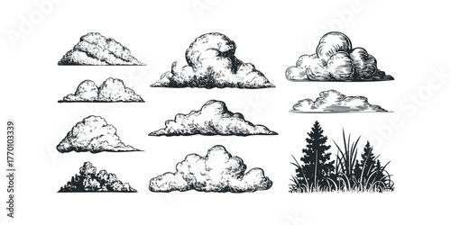 Collection of hand drawn clouds and forest vegetation