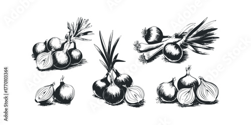 Group of Freshly Harvested Onions with Greens
