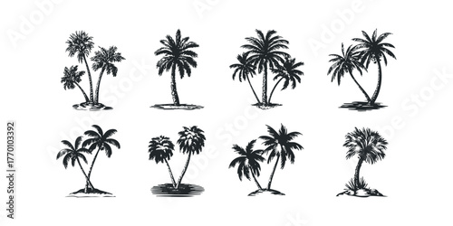 Collection of eight isolated palm tree silhouettes in various arrangements