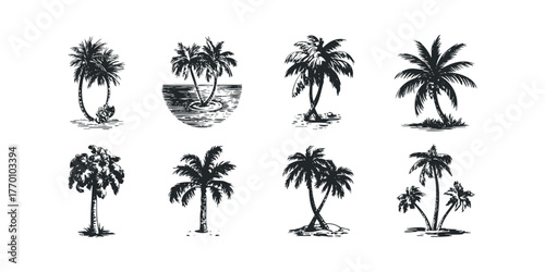 Eight Silhouette Palm Tree Illustrations on White Background
