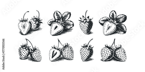 Collection of hand-drawn strawberries in a sketch style