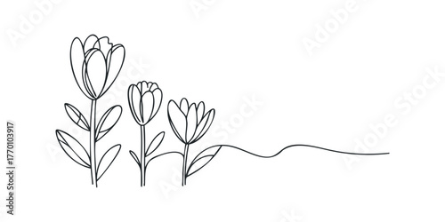 Line art of three tulips with leaves
