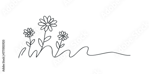 Simple line drawing of three daisy flowers with stems and leaves