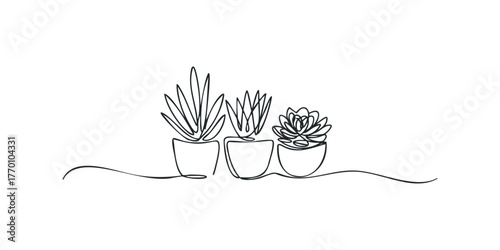 Three potted succulent plants drawn in a continuous line style
