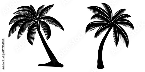 A palm tree's black silhouette is depicted in modern art using flat design graphic illustrations