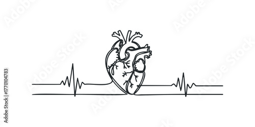 Abstract Heartbeat Line Graphic with Anatomical Heart