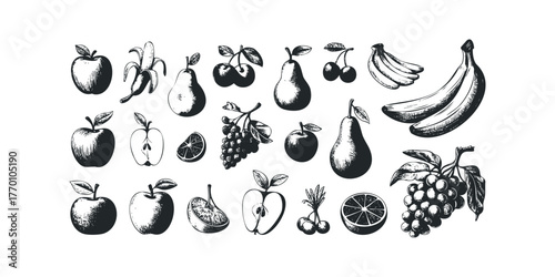 Assortment of Hand Drawn Fruits and Citrus Slices