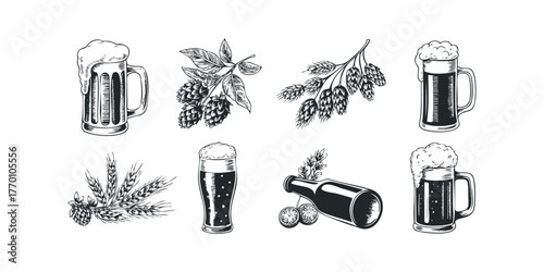 Beer mugs, hops, wheat, and bottle with citrus slices