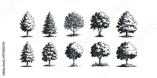 Collection of Diverse Tree Silhouettes
