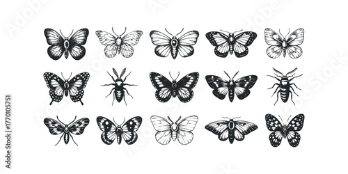 Collection of Hand Drawn Black and White Insect Silhouettes