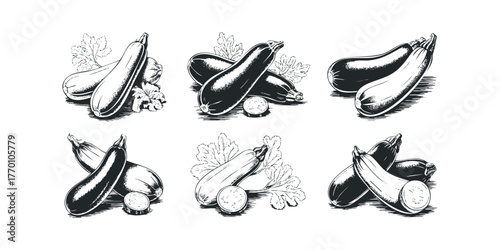 Six Vignettes of Zucchini with Leaves and Slices