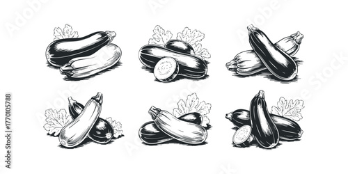 Six arrangements of stylized zucchini with leaves