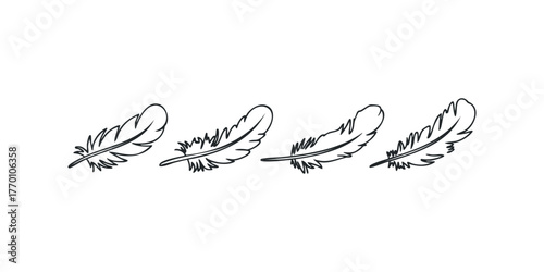 Four thin line drawings of bird feathers