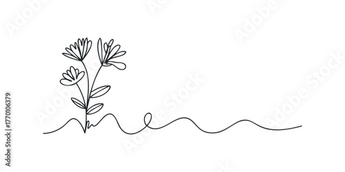 Minimalist single line drawing of blooming flowers with wavy stem